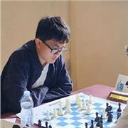 Giocatore agonistico e istruttore. Impartisco lezioni di scacchi da zero al livello agonistico